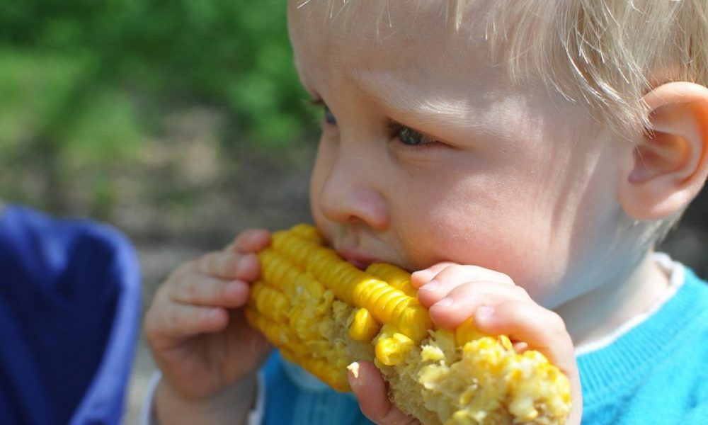 A young boy with blonde hair eating corn on the cob.