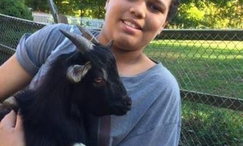 child with therapy animal